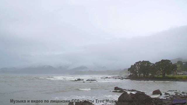 Ощущение, что природа играет на собственных инструментах - Til I Found You -- Fascinations Grand Cho