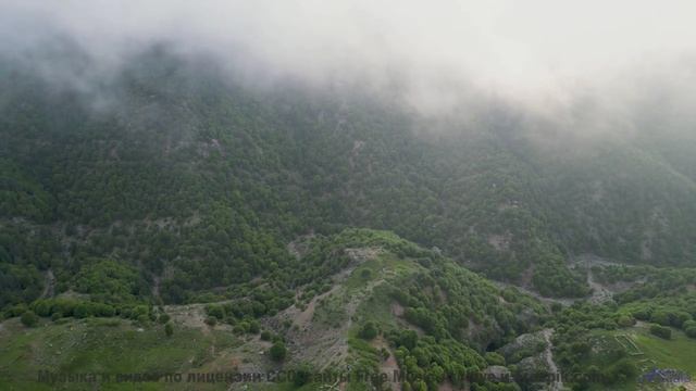 Пейзажи качают сердце как танец на ветру - Feathered Bow -- Ayla Nereo -- Beheld