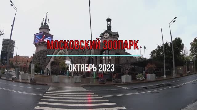 Московский зоопарк. Октябрь 2023. Что получилось снять