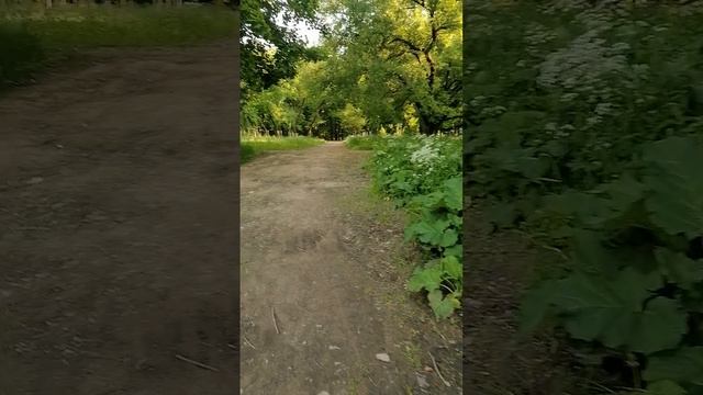 Мой парк