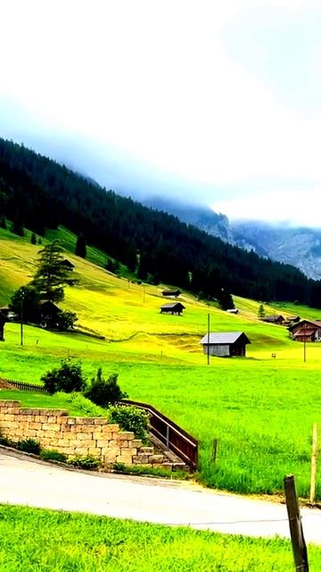 Камера поймала, как это произошло
