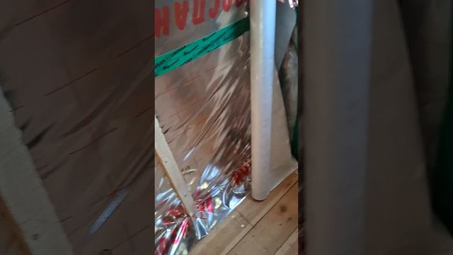 1000026138.mp4 (Собака смотрит на установку каркаса для электрики в большой комнате дома А-фрейм)