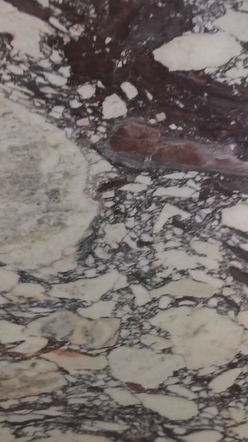 Calacatta Viola marble