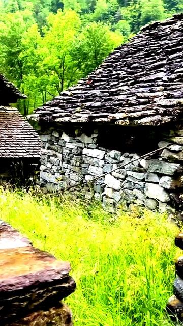 Камера была в нужное время в нужном месте