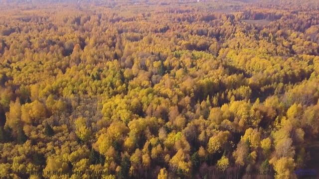 Эта музыка звучит так, будто её создал искусственный интеллект будущего! - Occhiolism -- Sea Offs --