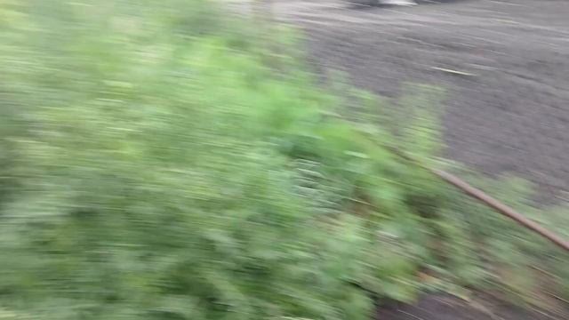 Новая покупка Вы удивитесь