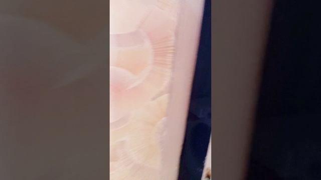 1000001845.mp4