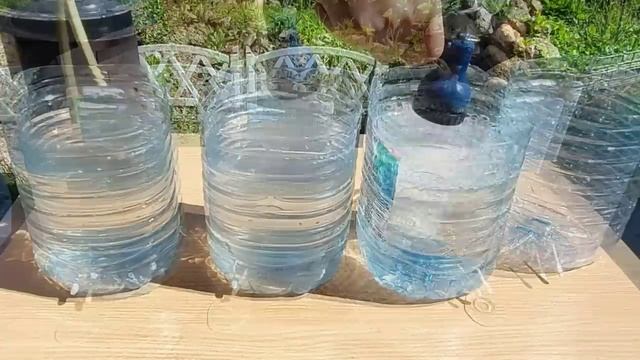 Капельный полив из бутылок и палочек — гениально просто!