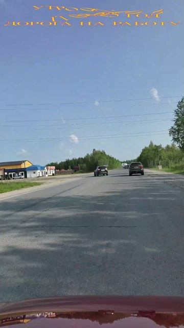 11.06.2025 год. Дорога на работу.