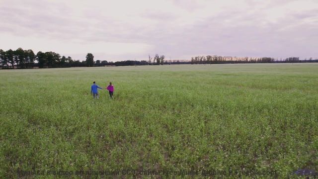 Это место создано для любви - а эта музыка станет вашим саундтреком! - No One Cares -- Mise Darling