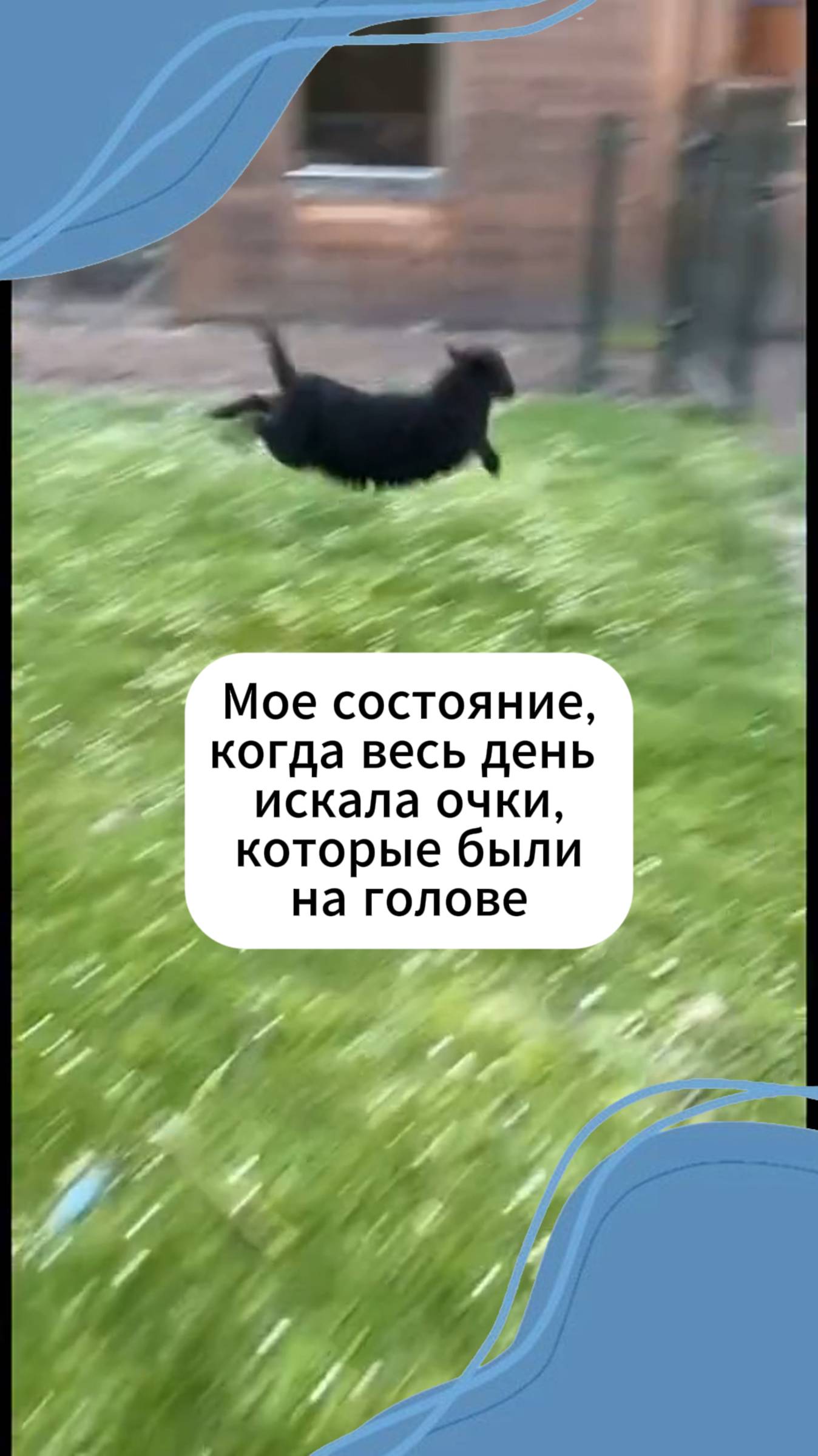 Воркбук WB 435656294
Воркбук OZON 2207935496