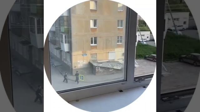 видили