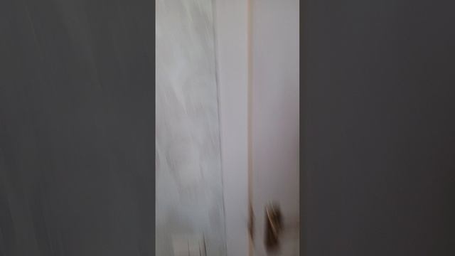1000062472.mp4