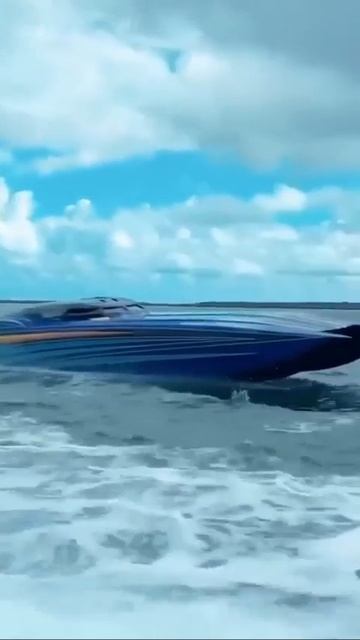 Clip from Speede 🌊🚤