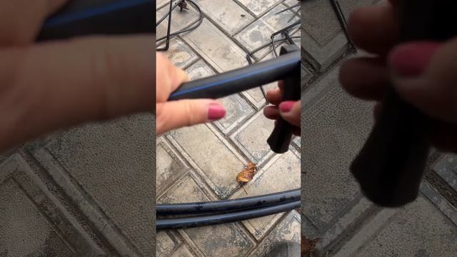 Как собрать капельный полив?