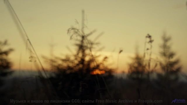 Музыка для цифрового воскрешения - где границы этики - A1-Zanne nel velluto -- Rien Virgule -- Le Co
