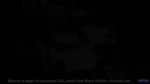 Пейзажи дышат вместе с этим мощным треком - New Deal -- Big Quiet -- Live at Monty Hall, 9152017
