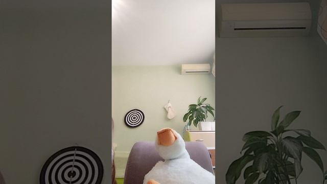 1000001488.mp4