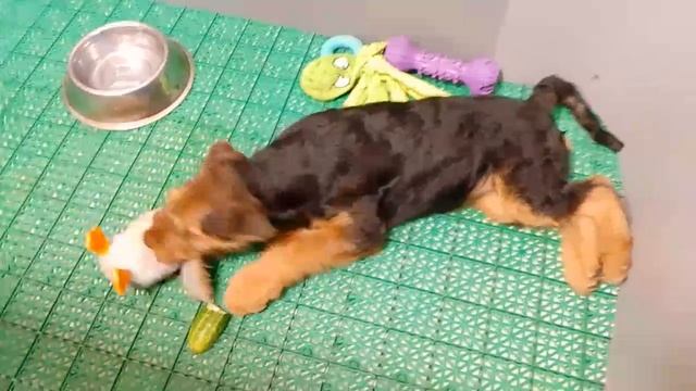 VID_20250612_204719_207.mp4