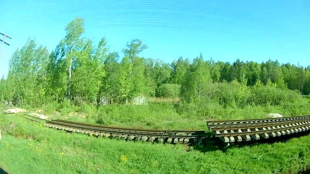 Вид из окна поезда - Природа Ярославской области.