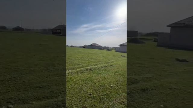 WhatsApp Video 2025-06-12 at 12.18.29