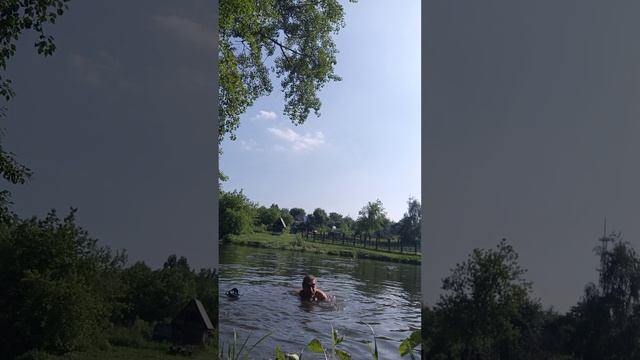 заплыв