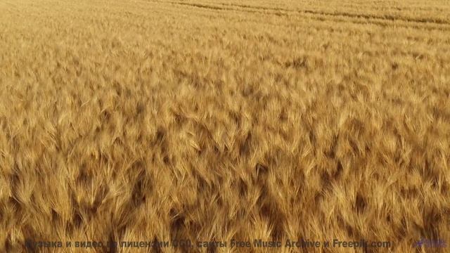 Это видео - как шёпот 'я люблю тебя' в тишине! - 05 Chapter Five - (Not) The Marian Kind  Kidnapped!