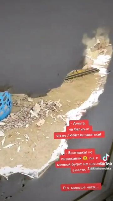 Ремонт обеспечен
