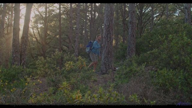 Ты НЕ ОТОРВЁШЬСЯ - проверь себя! - Rising -- Johannes Weber -- Unnamed album