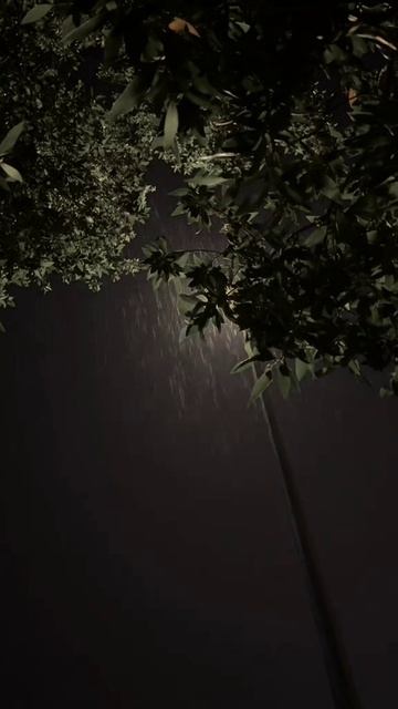 20250612