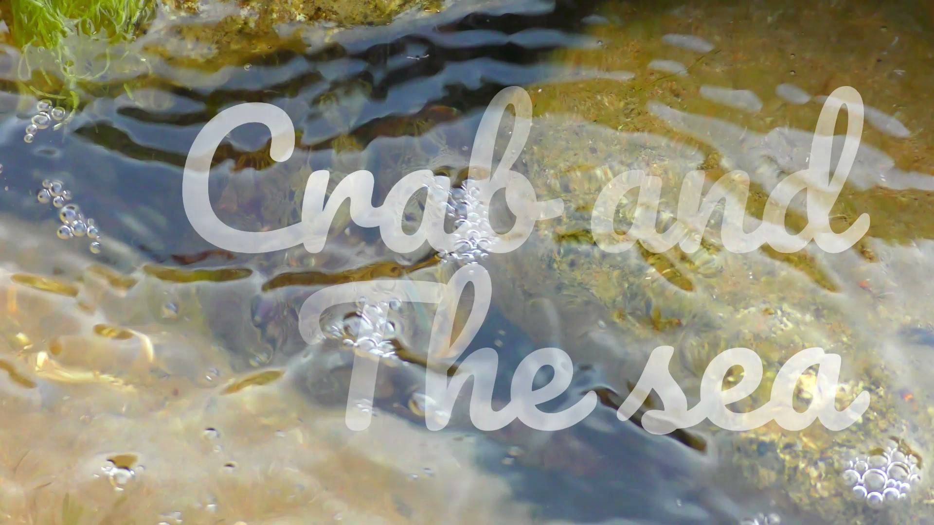 Crab and the sea