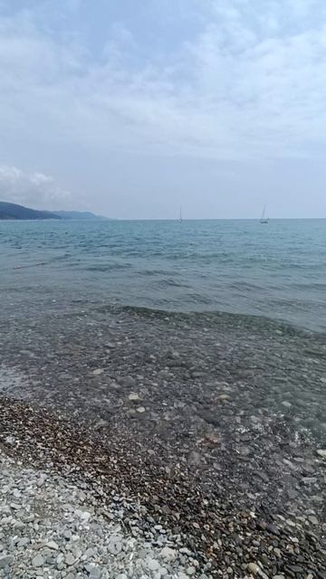 12.06.2025 Лазаревское