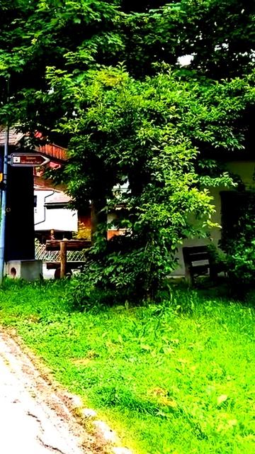 Поймано в объектив