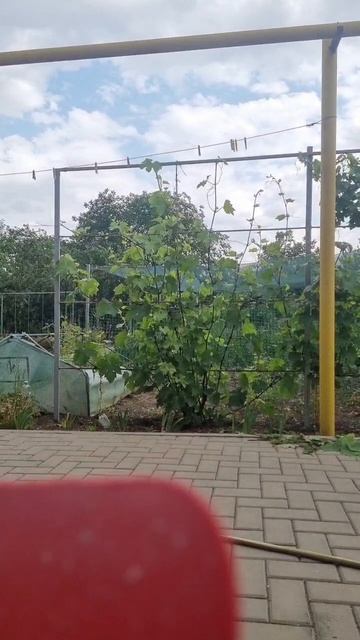 Почему не будет пока что видео