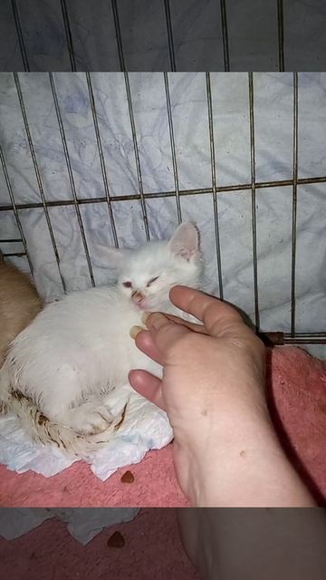 Дневничок по больным. Улучшения есть .Сейчас будем мыться.