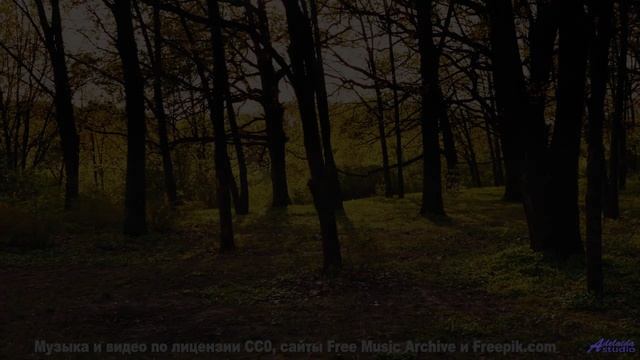 Почему военные используют эту музыку Секрет раскрыт! - Horse feat. lardavis -- Phillip Gross -- Jupi