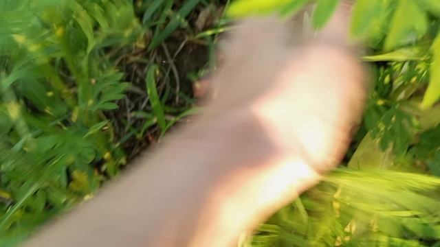 12 июня раскапываем клад неудач попыт