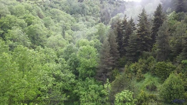 Музыка растекается по телу быстрее любого напитка - Холодно -- POVALISHIN DIVISION -- Выпускайте Кра
