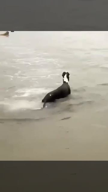Когда только приехал на море