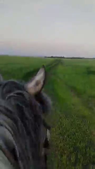 #мудростьжизни #словасосмыслом #мативация