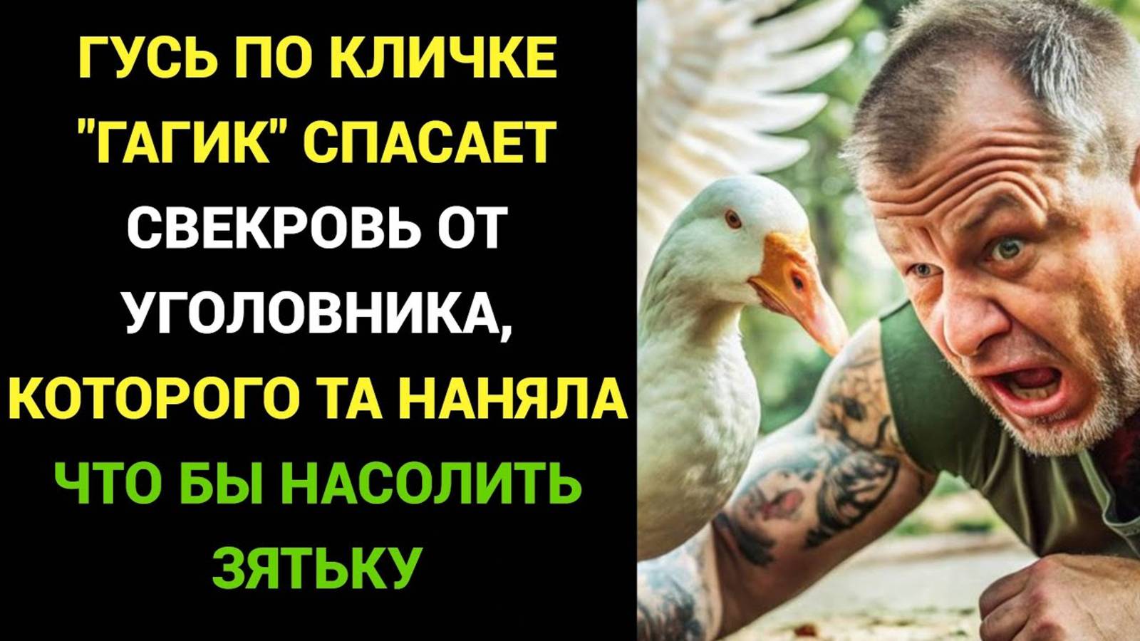 Истории из жизни Храбрый гусь по кличке ГАГИК спасает свекровь и невестку от уголовника Живой Голос