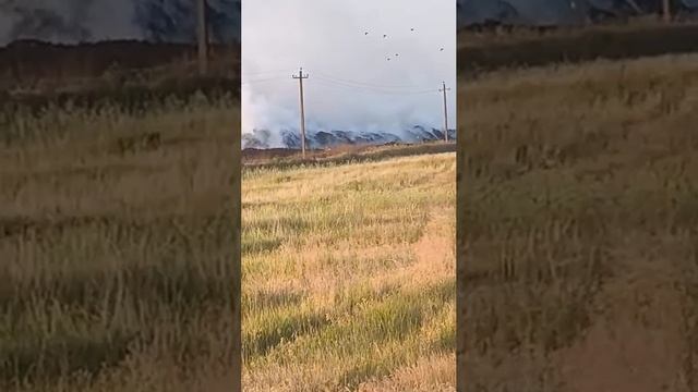 А вот так выглядит сама свалка, из-за которой задыхаются жители Морозовска.
