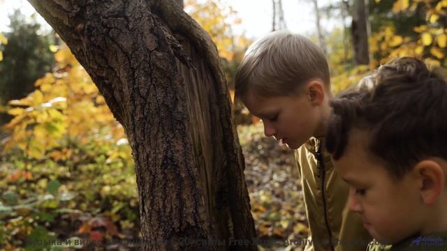 Ты НЕ ПРОЙДЁШЬ мимо этого! - Releasing The Sculpture -- Podington Bear -- Meet Podington Bear (Box S