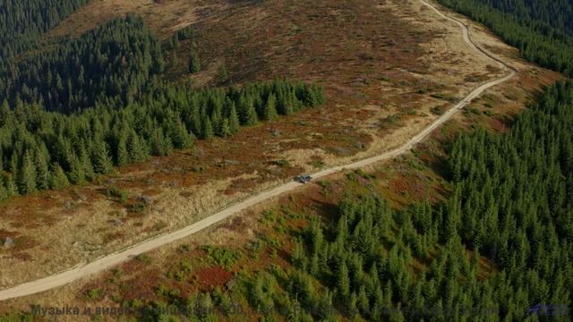 Звуки текут по венам вместе с реками и лесами - Smallest Things In The Forest-[AudioTrimmer.com] --