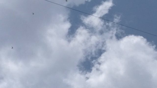 1000052860.mp4