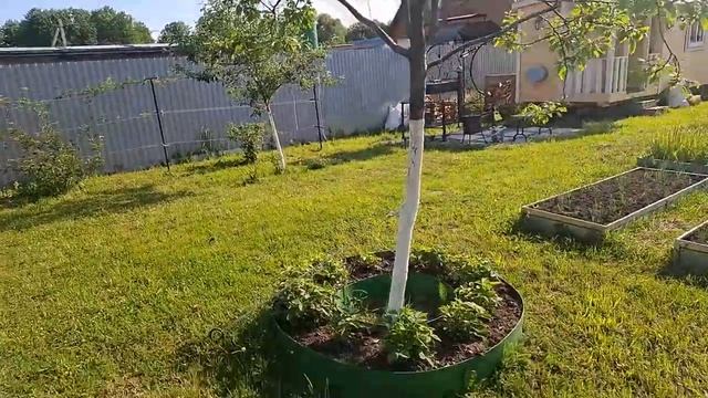 поездка к сестре
