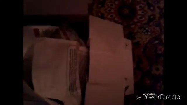 Мой любимый Персик 👍➡🐱