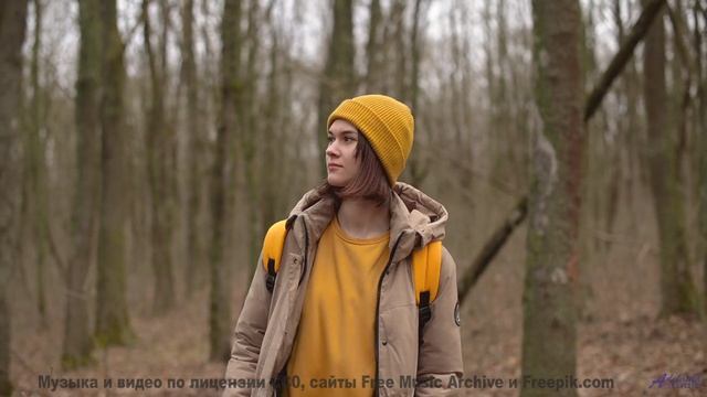 Пейзажи заставляют забыть про реальность с этим саундом - Play Thing -- Ketsa -- Vitality