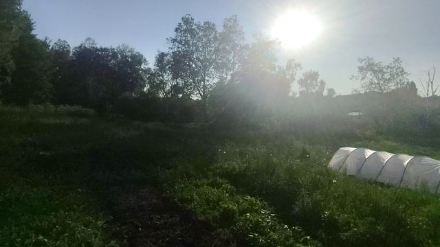 1000202634.mp4