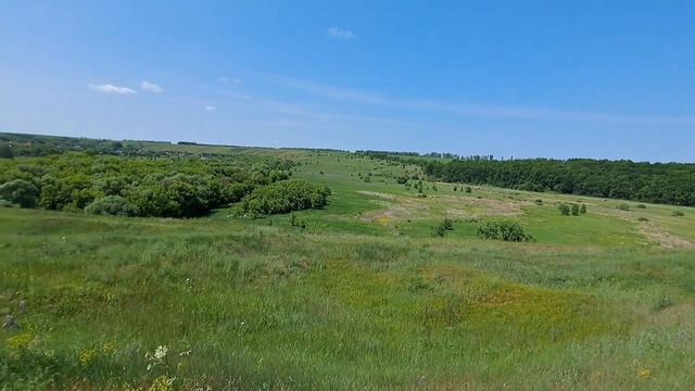 #природа #луга #поля #зеленыелуга #покостравы #тракторнаполе #синийтрактор #красивыйвид
